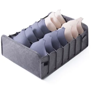 نظمدهنده لباس زیر